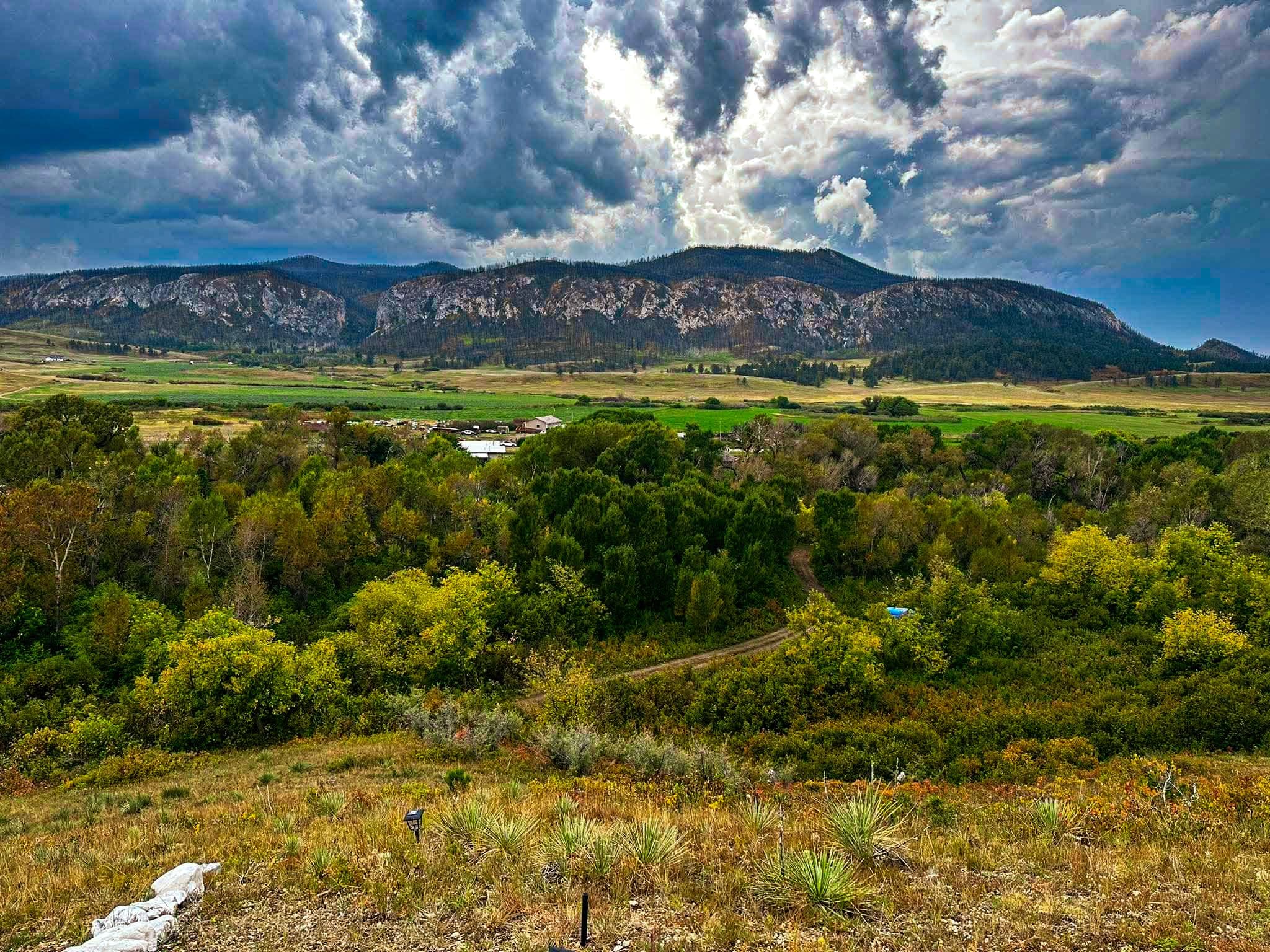 Improving Rural Healthcare